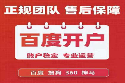 竞价推广策略：某电商平台的成功之路