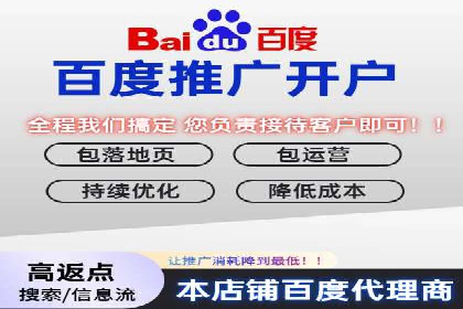 百度竞价代理优化策略：案例分享与借鉴